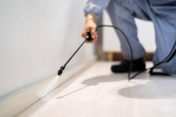 Licensed Pest Control service in Firthcliffe, NY - Show Me Pest Control